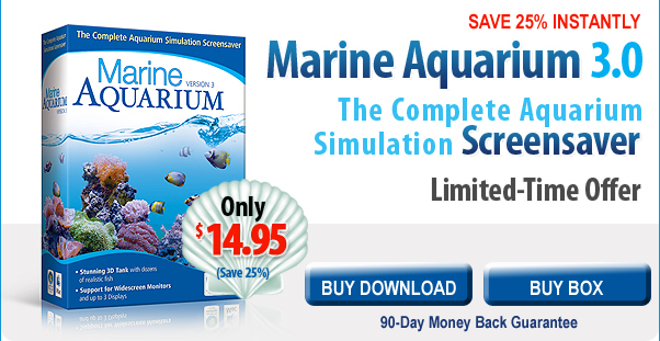 3d marine aquarium time